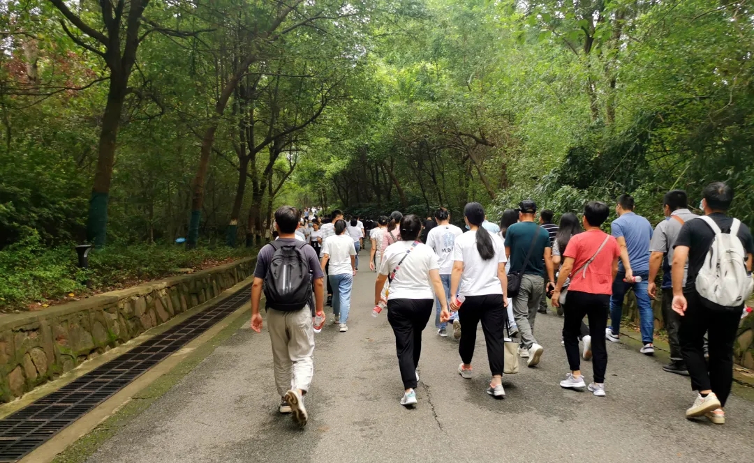 ̬湤k8ƼɽԲĻ