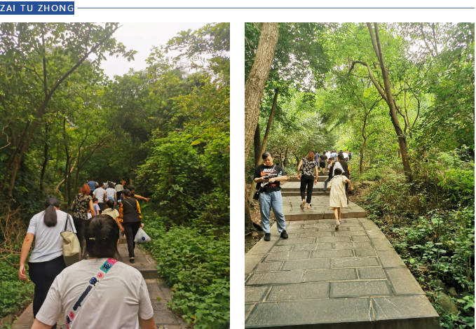 ̬湤k8ƼɽԲĻ